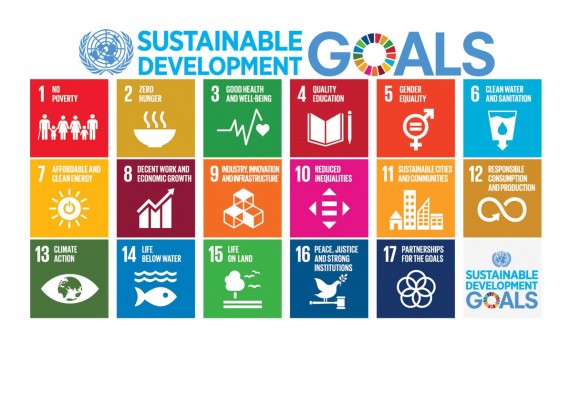 מפת דרכים לצמיחה עסקית בעולם משתבש – SDG